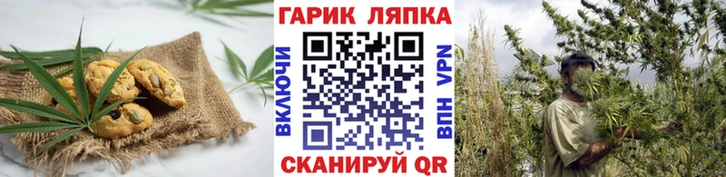 Cannafood конопля  Шадринск 