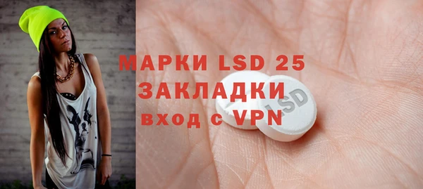 apvp Бородино