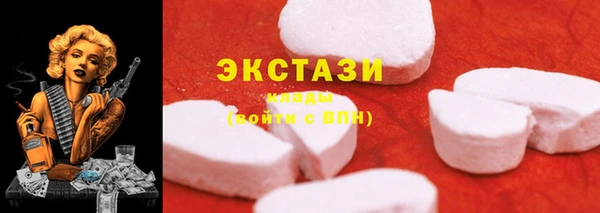 apvp Бородино