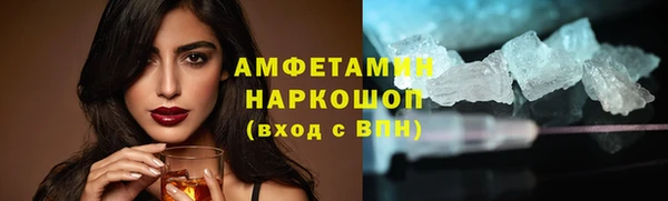сатива Бронницы