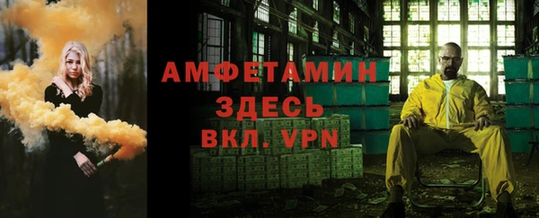 сатива Бронницы