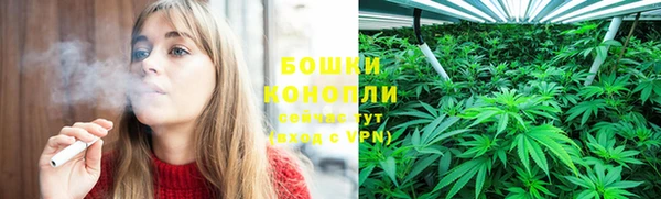 сатива Бронницы