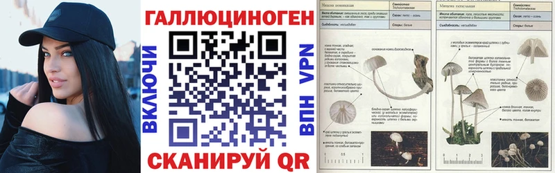Галлюциногенные грибы мухоморы  где купить наркотик  Шадринск 